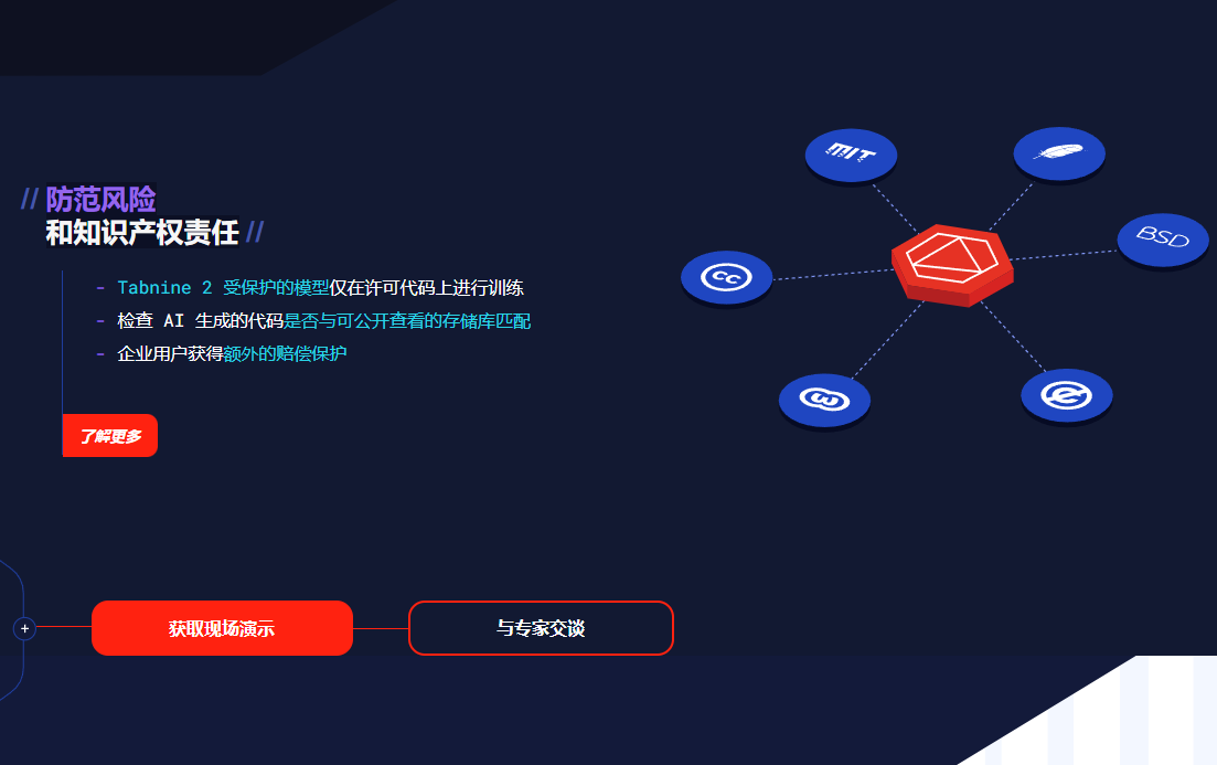 AI 代码助手,提升开发效率,加速编码,安全可靠,开发者首选:TabnineAI工具