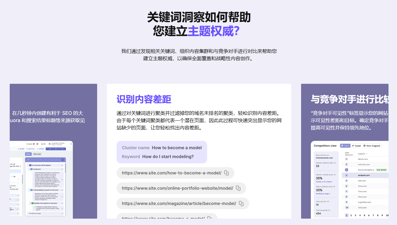 SEO优化策略-AI大规模关键词分析-高效内容布局:Keyword Insights AI 工具