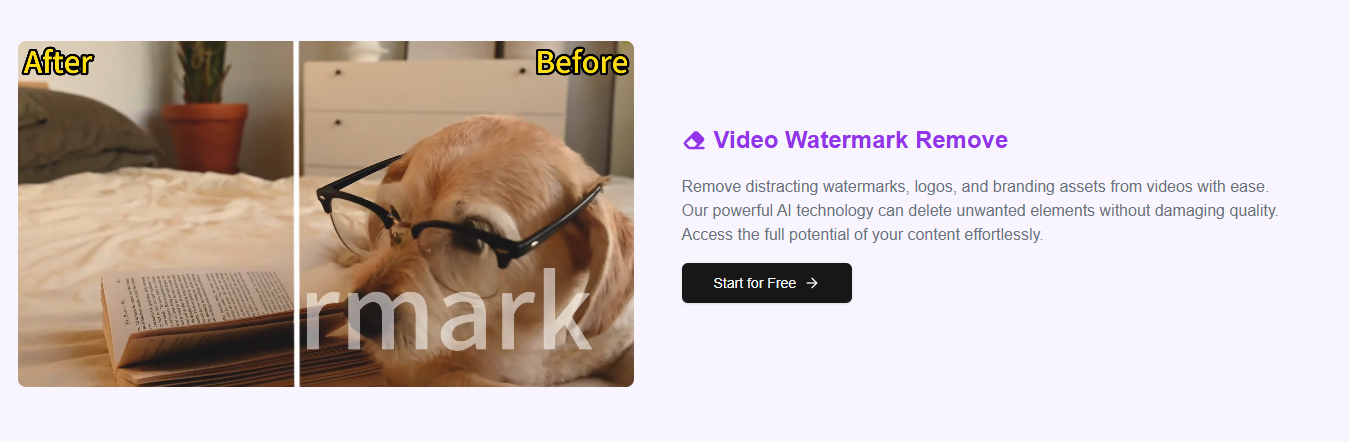 EasyVideo AI:免费AI工具|一键增强视频画质/去水印背景
